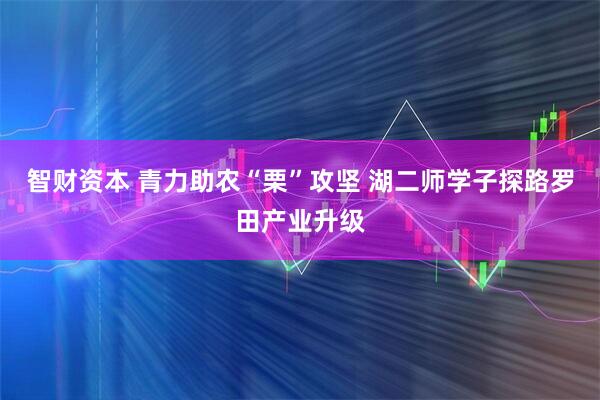 智财资本 青力助农“栗”攻坚 湖二师学子探路罗田产业升级