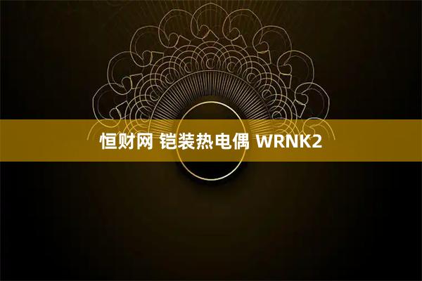 恒财网 铠装热电偶 WRNK2