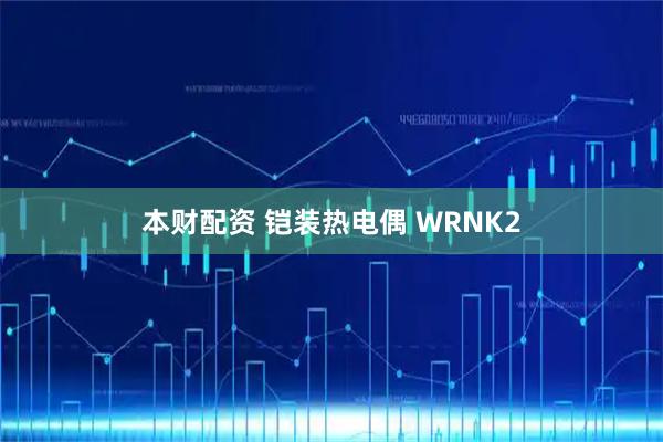 本财配资 铠装热电偶 WRNK2