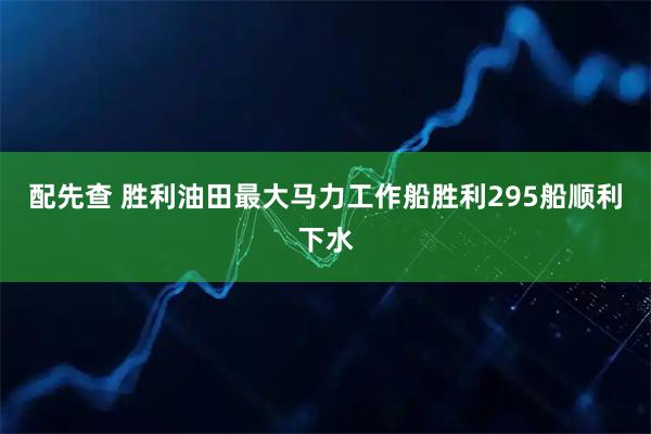 配先查 胜利油田最大马力工作船胜利295船顺利下水