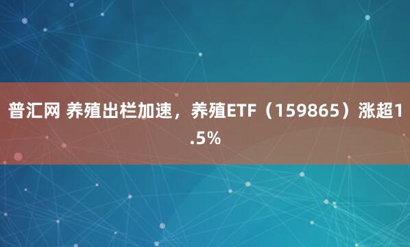 普汇网 养殖出栏加速，养殖ETF（159865）涨超1.5%