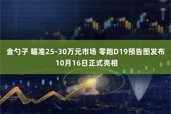 金勺子 瞄准25-30万元市场 零跑D19预告图发布 10月16日正式亮相