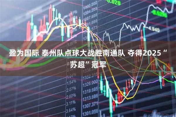 盈为国际 泰州队点球大战胜南通队 夺得2025“苏超”冠军
