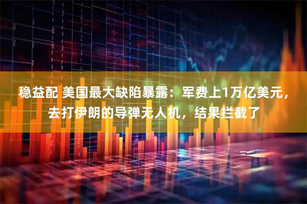 稳益配 美国最大缺陷暴露：军费上1万亿美元，去打伊朗的导弹无人机，结果拦截了